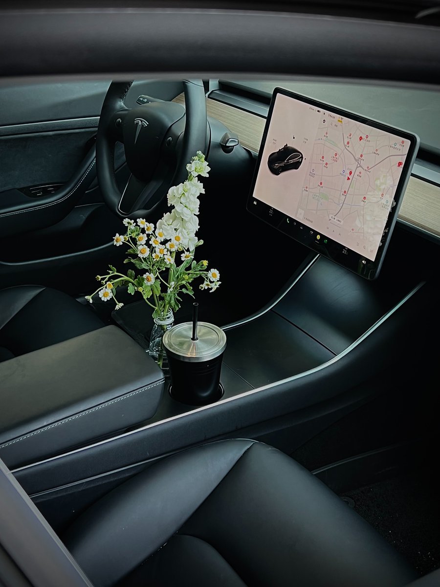 Tesla Asia