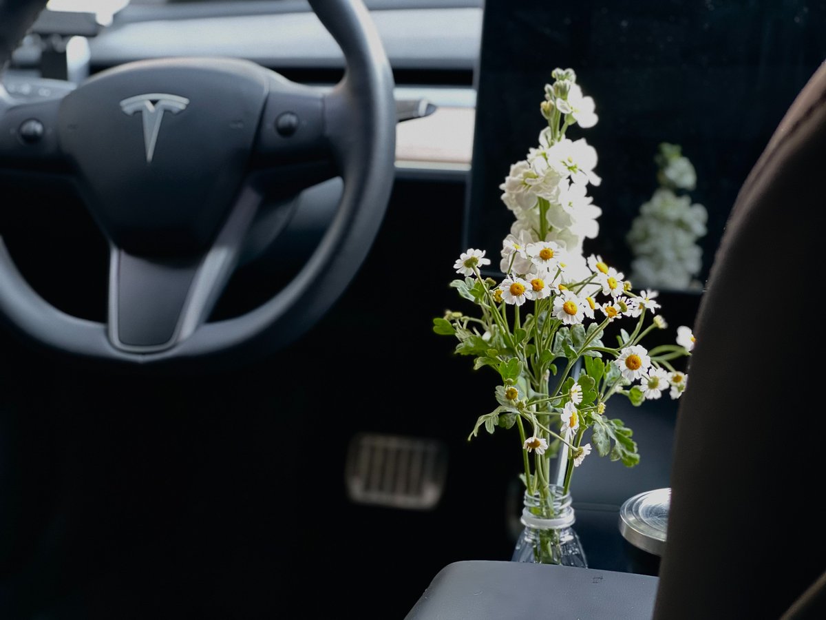Tesla Asia