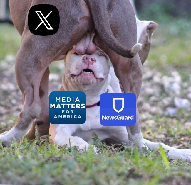 DogeDesigner