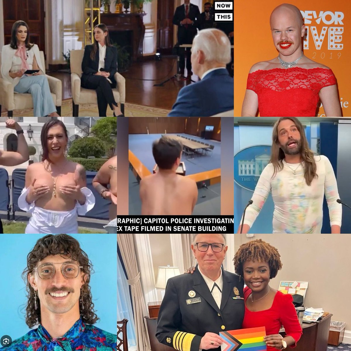 Libs of TikTok