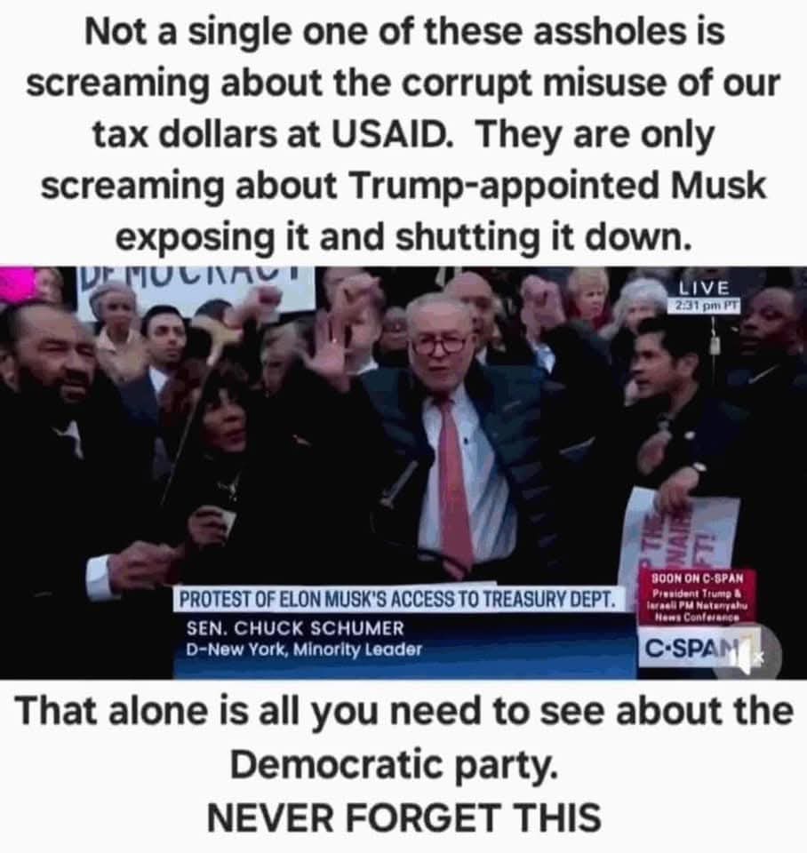 Insane Twain