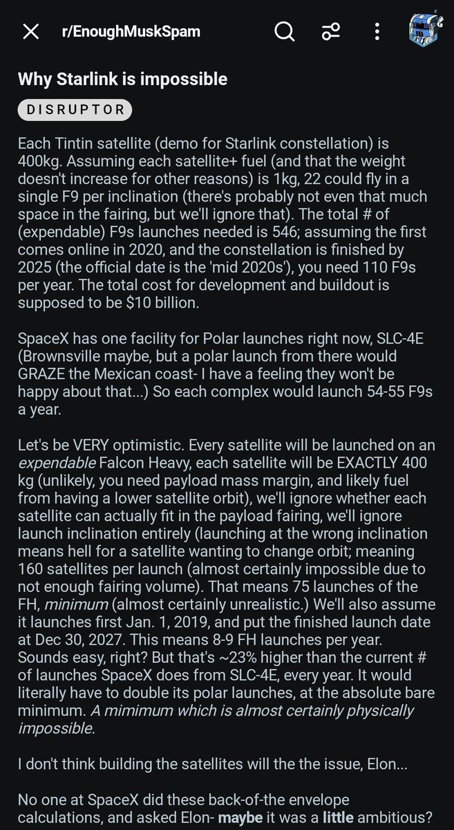Space Koala